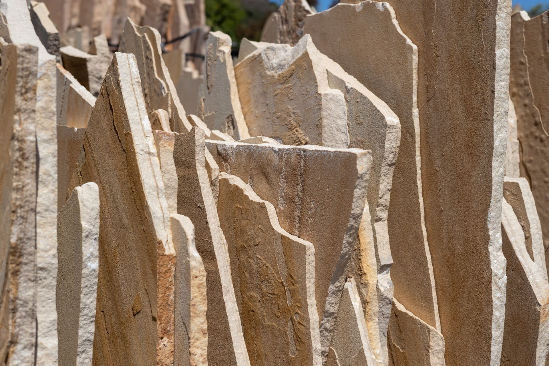 Arizona Buckskin
